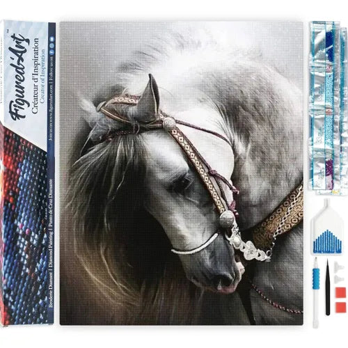 Broderie Diamant Cheval Gris — Kit Diamond Painting 5D 40×50 cm